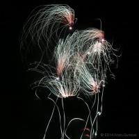 /album/light-painting1/frida-dumont-img-1007-jpg1/